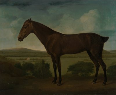 Brown Horse in a Hilly Landscape by Unbekannt Unbekannt